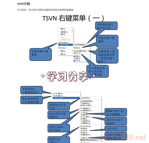 如何高效掌握Linux SVN的使用技巧？插图4