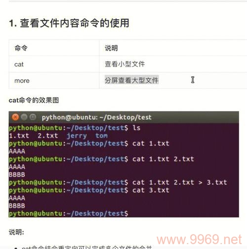 如何在Linux中使用Python脚本执行退出命令？插图4