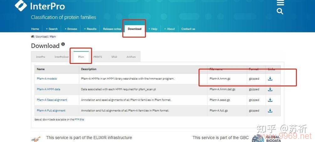 探索pfam数据库，它是如何成为蛋白质家族和域的权威资源？插图4