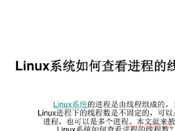 如何查看Linux系统的详细信息？插图2