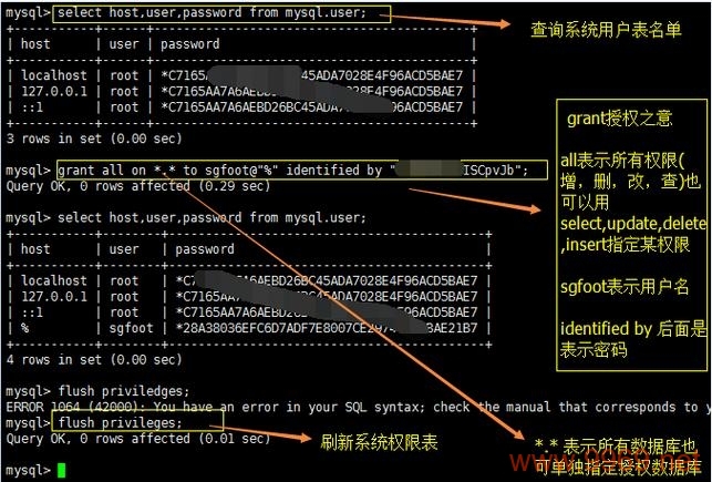 如何配置Linux上的MySQL以允许远程连接？插图