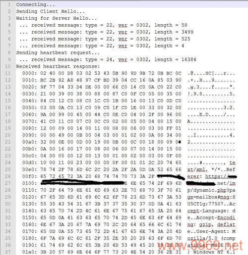 DTLS协议中的漏洞，安全威胁还是可控风险？插图