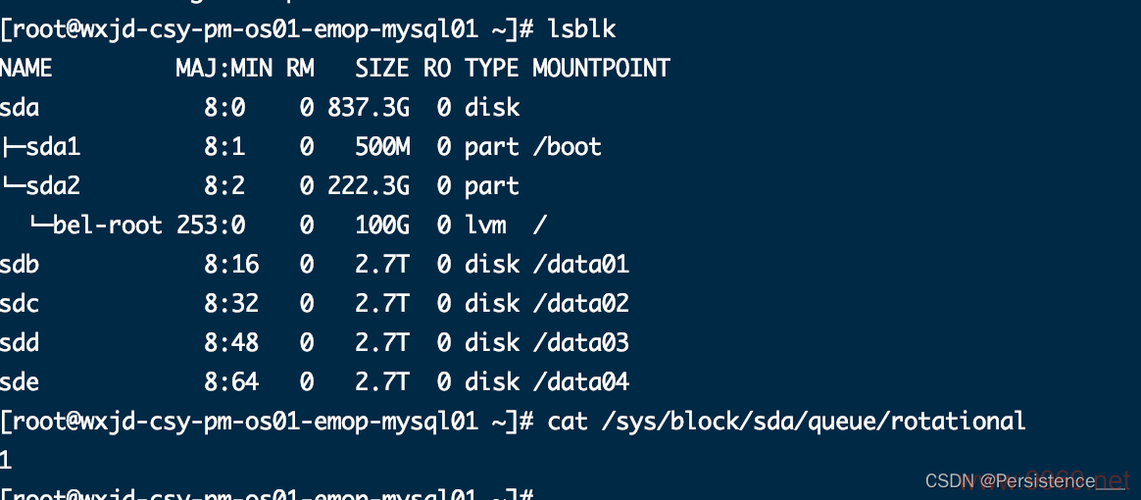 如何查看Linux系统中的物理硬盘信息？插图2