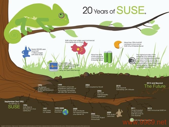 如何配置SUSE Linux的IP地址？插图