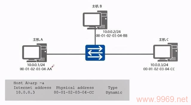 如何查看Linux系统中的ARP表？插图4