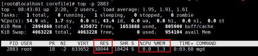 如何在Linux系统中查看当前内存使用情况？插图