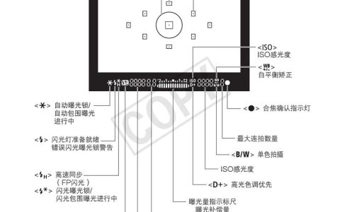 如何正确使用CDN相机捕捉精彩瞬间？