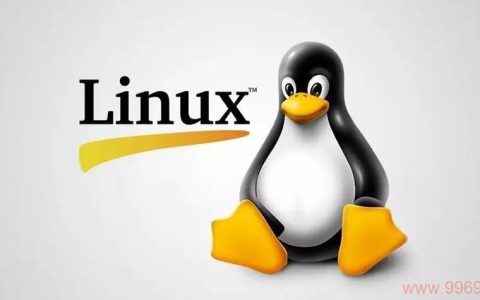 探索Linux命令行界面，Bash 4.1版本有哪些新特性？