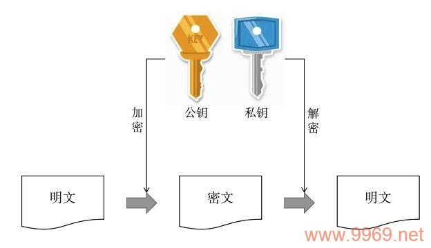 如何在Linux系统中生成SSH公钥？插图