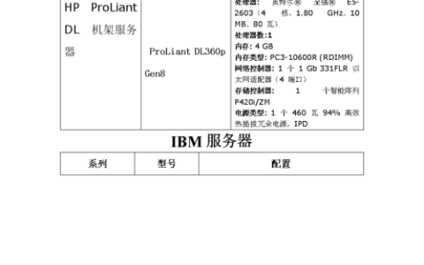 如何正确配置服务器信息以确保最佳性能？