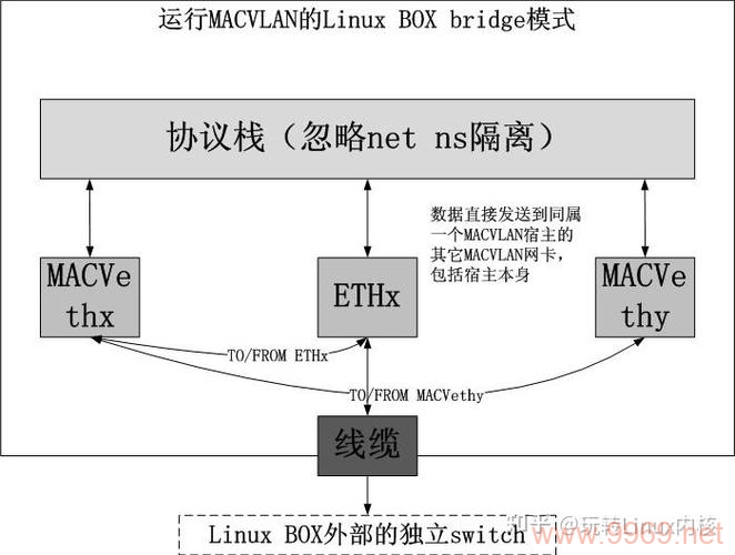 如何在Linux系统中配置虚拟网卡？插图2