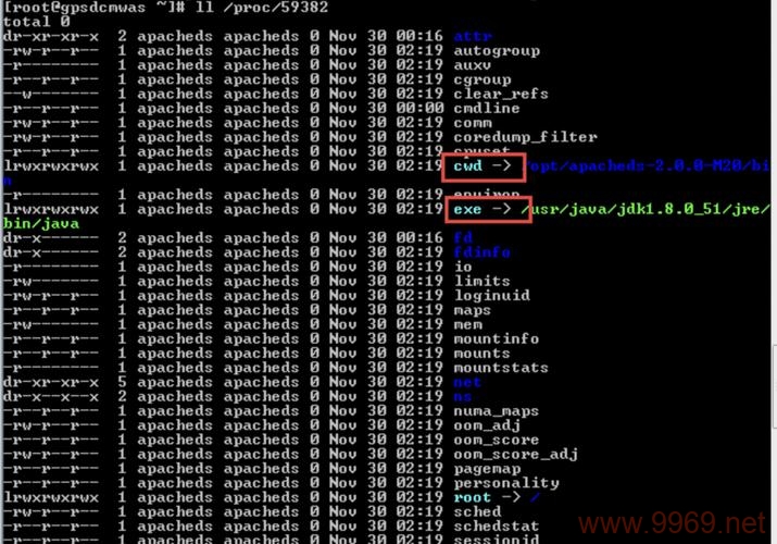 如何在Linux系统中查看进程ID (PID)？插图4