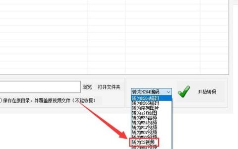 如何高效地批量处理文件转码任务？