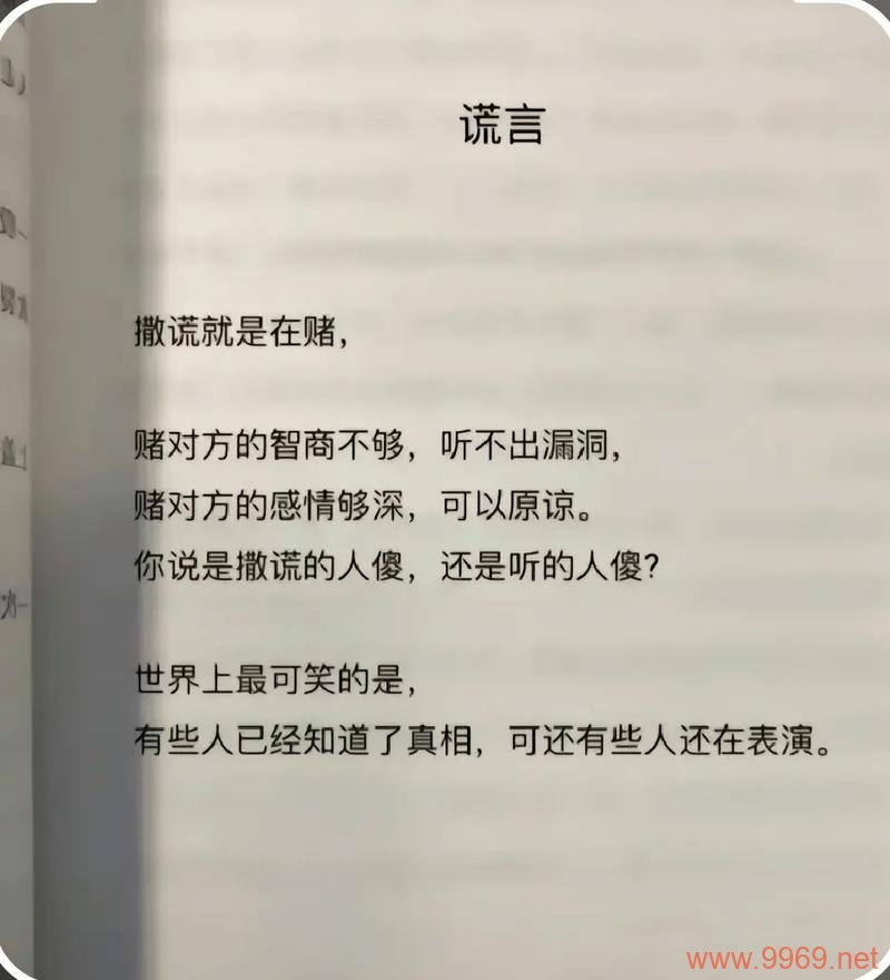 数字漏洞，我们真的能信任数字世界吗？插图