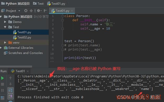 Python编程中下划线的神秘用途是什么？插图