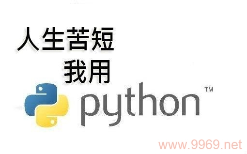 为什么Python在编程领域中备受推崇？插图2