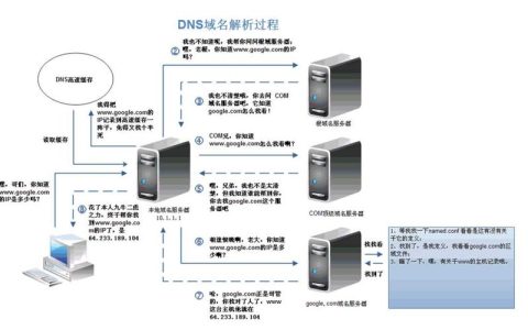 DMS服务器与客户端，了解它们之间的核心差异